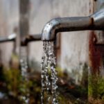 3 věci, bez kterých se neobejdete, pokud chcete přežít